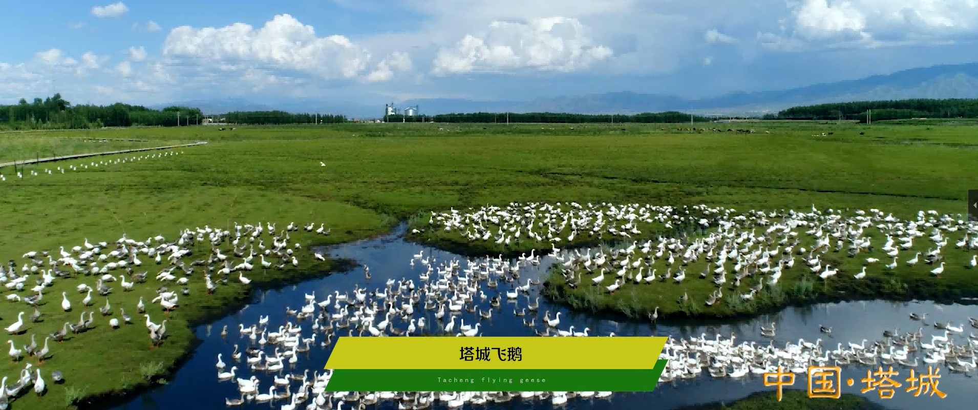 &#22823;&#21457;&#119;&#101;&#108;&#99;&#111;&#109;&#101;&#30331;&#24405;&#20837;&#21475;&#39318;&#39029;&#40;&#20013;&#22269;&#41;&#20225;&#19994;&#30334;&#31185;